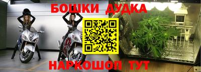 герыч Лесосибирск