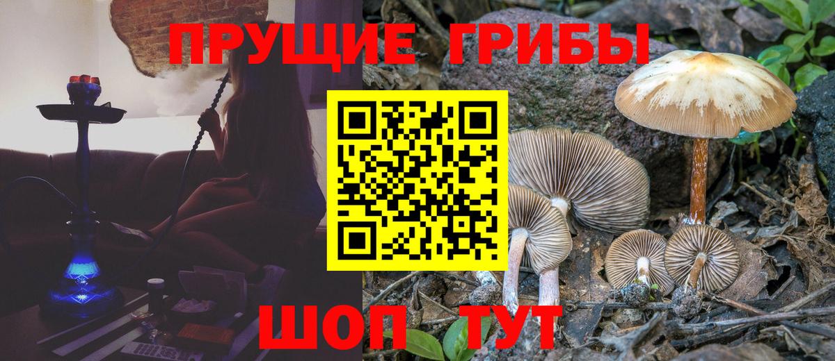 Галлюциногенные грибы прущие грибы Электросталь
