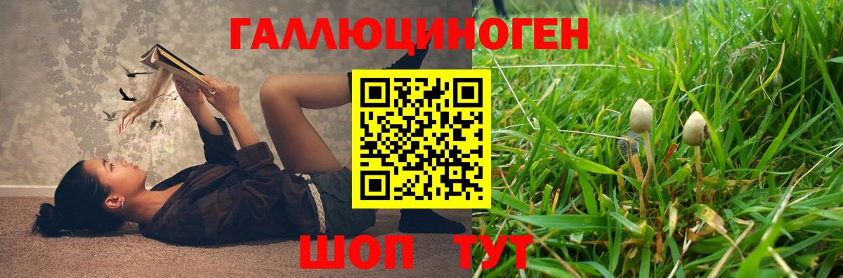 Псилоцибиновые грибы Psilocybine cubensis  Галлюциногенные грибы мухоморы  наркотики  Электросталь  Вход с VPN 